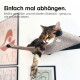 Getigerte Katze schläft auf wandmontiertem Regal mit herabhängender Pfote; sichtbare deutsche Schlagzeile 'Einfach mal abhängen.' und kleiner Text