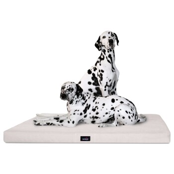 ® ALICE VISCO Orthopädische Hundematte creme 1,2 m, 9 cm, 90 cm
