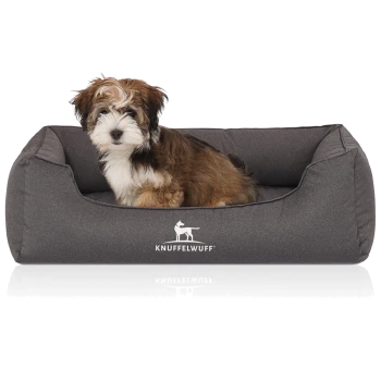 Flauschiger braun-weißer Welpe sitzt in einem grauen Bolster-Hundebett mit weißem 'KNUFFELWUFF'-Logo.