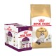 Emballage de nourriture pour animaux Royal Canin présentant une boîte de 12 sachets sensoriels et un sac de nourriture sèche pour Ragdoll adulte, tous deux promouvant la santé féline.