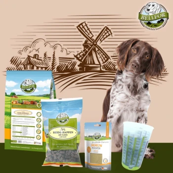 Ein brauner und weißer Hund sitzt neben Bellfor-Haustierfutterprodukten: Trockenfutter, weiche Snacks, ein Ergänzungspulver und ein Messbecher.