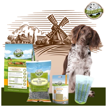 Ein brauner und weißer Hund sitzt neben Bellfor-Haustierfutterprodukten: Trockenfutter, weiche Snacks, ein Ergänzungspulver und ein Messbecher.
