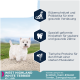Ein West Highland White Terrier steht auf einem Weg. Der Text hebt die Vorteile von Futter für eine gesunde Verdauung, Zähne und Muskeln für Hunde über 1 Jahr hervor.