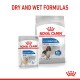 Royal Canin dog food packaging featuring dry and wet formulas for weight care, labeled "LIGHT WEIGHT CARE" with images of dogs.