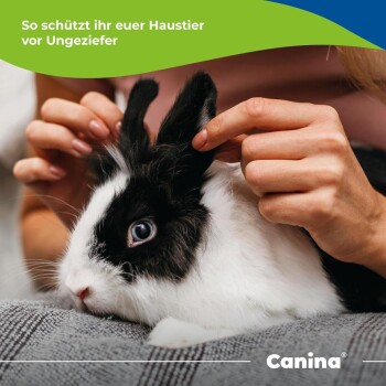 Hände streicheln ein schwarz-weißes Kaninchen mit blauem Auge; sichtbarer Text: 'So schützt ihr euer Haustier vor Ungeziefer; Canina.'