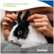 Hände streicheln ein schwarz-weißes Kaninchen mit blauem Auge; sichtbarer Text: 'So schützt ihr euer Haustier vor Ungeziefer; Canina.'