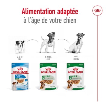 L'emballage de nourriture pour chiens Royal Canin montre des formules pour chiots, petits adultes et vieillissants. Texte en français : 'Alimentation adaptée à l'âge de votre chien.'