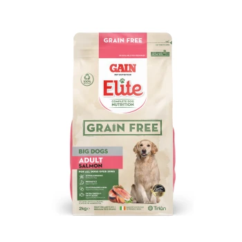 Gain Elite Grain Free Adult Salmon dog food for big dogs over 20kg, 2kg bag, featuring nutritional claims and ingredients.