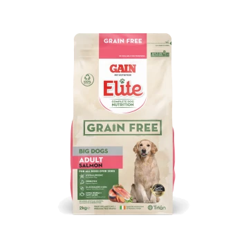Gain Elite Grain Free Adult Salmon dog food for big dogs over 20kg, 2kg bag, featuring nutritional claims and ingredients.