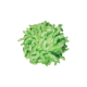 Grünes, zotteliges Chenille-Pompon-Haustierspielzeug auf weißem Hintergrund.