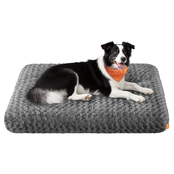 Schwarz-weißer Border Collie mit orangefarbener Bandana, liegend auf einem strukturierten grauen Haustierbett mit orangefarbenem Etikett.