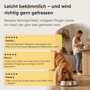 Bild zur Werbung von Milo & Mia Haustierfutter: "Experten haben ihr Bestes gegeben. Außer Zusatzstoffen." Hebt glutenfrei, keinen Zuckerzusatz, keine künstlichen Zutaten hervor.