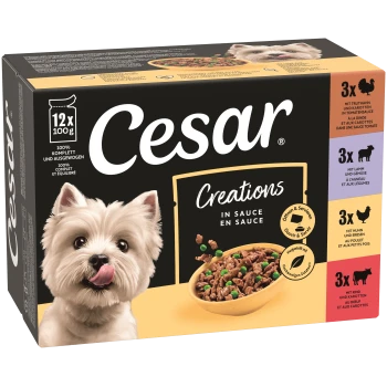 Cesar Hundefutterbox 'Creations in Sauce' 12×100 g — Schüssel mit fleischigen Stücken und Erbsen, Foto eines weißen Terriers und farbige 3er-Geschmacksleiste.