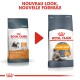 Hair & Skin Care 10 kg