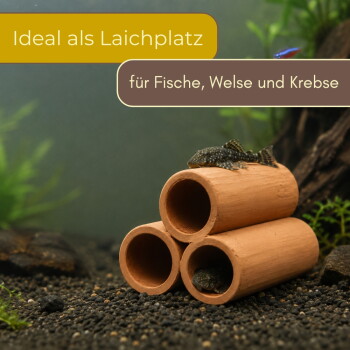 Terrakotta-Laichröhren im Aquarium mit kleinen Welsen; deutscher Text: 'Ideal als Laichplatz' – 'für Fische, Welse und Krebse'.