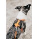Visibility Rope leash orange orange 1,1 cm