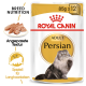 Verpackung von Royal Canin Adult Persian Katzenfutter, mit einer Illustration einer flauschigen Perserkatze, mit Text, der die Rassenernährung und angepasste Textur hervorhebt.
