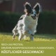 Ein glücklicher Hund, der auf einem grasbewachsenen Feld läuft, mit dem Text "Reich an Protein, Ernährungsphysiologisch Ausgewogen, Köstlicher Geschmack!"
