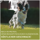 Ein glücklicher Hund, der auf einem grasbewachsenen Feld läuft, mit dem Text "Reich an Protein, Ernährungsphysiologisch Ausgewogen, Köstlicher Geschmack!"