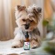 Ein kleiner Yorkshire Terrier Hund untersucht neugierig eine Flasche ZecOFF, ein Haustier-Nahrungsergänzungsmittel, die auf einer strukturierten Oberfläche platziert ist.