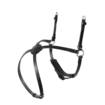 Schwarzes Leder-Hundegeschirr mit verstellbaren Riemen und Metallringen, entworfen für Komfort und Kontrolle während der Spaziergänge.