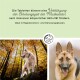 Ein Golden Retriever steht im flachen Wasser am Strand, mit einem Text, der "Muskelpower Tabletten" für aktive Hunde bewirbt.
