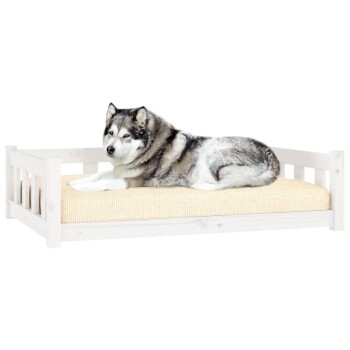 Ein grau-weißer Alaskan Malamute liegt auf einem beigen Haustierbett mit einem Holzrahmen und zeigt ein gemütliches und stilvolles Design.