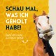 Pferde Pflegestift