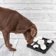 Ein schokoladenfarbener Labrador-Retriever schnüffelt an einem schwarzen interaktiven Puzzlespielzeug mit weißen Fächern auf einem hellen Holzboden.