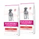 Veterinary Diets Intestinal dla dorosłych psów 2x12 kg