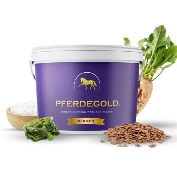 Lila Behälter mit Pferdegold Mineralfutter für Pferde, beschriftet mit "Nerven", umgeben von Zutaten wie Salz, Leinsamen und einem Wurzelgemüse.
