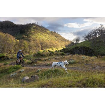 Eine Person, die auf einem Radweg in einer üppigen, grünen Landschaft Fahrrad fährt, während ein glücklicher weißer Hund nebenher läuft.