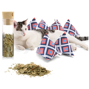 Eine entspannte Katze liegt neben bunten, pyramidenförmigen Katzenminze-Spielzeugen und einem Glasbehälter, der mit getrockneten Katzenminzblättern gefüllt ist.