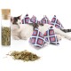 Eine entspannte Katze liegt neben bunten, pyramidenförmigen Katzenminze-Spielzeugen und einem Glasbehälter, der mit getrockneten Katzenminzblättern gefüllt ist.
