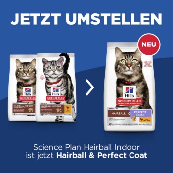 Hill's Science Plan Katzenfutterbeutel: "Hairball Indoor" links, "Hairball & Perfect Coat" rechts, mit "JETZT UMSTELLEN" und "NEU".