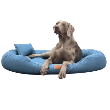 TIFFANY Couture - Orthopädisches Hundebett blau 1,15 m, 20 cm, 90 cm Ein grauer Weimaraner, der auf einem weichen, runden blauen Haustierbett mit einem kleinen passenden Kissen entspannt und aufmerksam in die Kamera schaut.