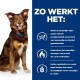 Een hond zit tegen een blauwe achtergrond met tekst over een gewichtsverliesproduct voor honden dat natuurlijke vetverbranding ondersteunt.