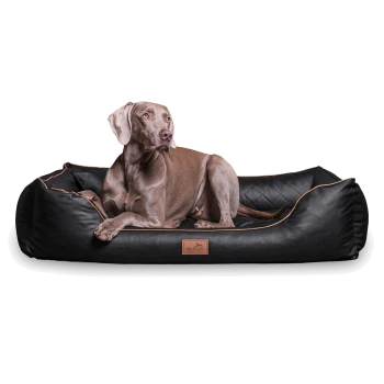 Ein elegantes schwarzes Hundebett mit einem gesteppten Design und braunen Paspeln, mit einem Holzschild mit der Aufschrift "tierlindo", auf dem ein Hund bequem ruht.