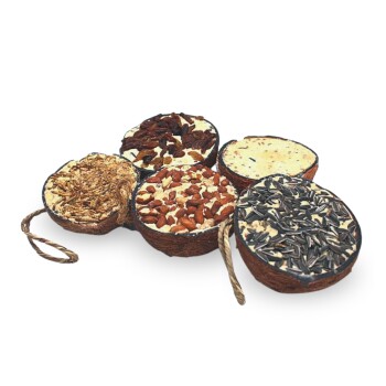 Eine Sammlung von fünf runden Vogelhäuschen, gefüllt mit verschiedenen Samen und Nüssen, darunter Sonnenblumenkerne und Mandeln, verbunden durch ein Seil.