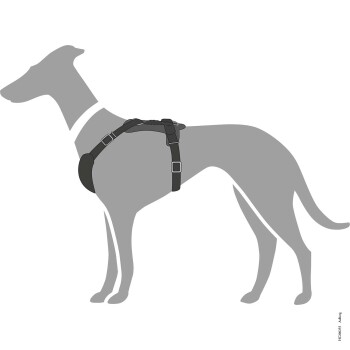 Illustration eines grauen Hundes, der ein schwarzes Geschirr trägt, mit verstellbaren Riemen und einem gepolsterten Brustbereich.