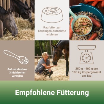 Bild von Fütterungsrichtlinien für Pferde: umfasst Heu, eine Schüssel mit Mischfutter und Karotten sowie eine Waage. Der Text lautet 'Empfohlene Fütterung' mit Fütterungstipps.