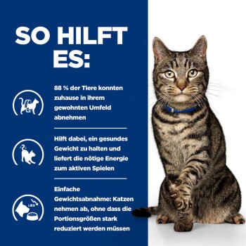 Eine getigerte Katze mit einem blauen Halsband sitzt aufrecht, neben einem Text, der die Vorteile von Gewichtsverlust für Haustiere beschreibt, einschließlich Statistiken und Tipps.