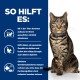 Eine getigerte Katze mit einem blauen Halsband sitzt aufrecht, neben einem Text, der die Vorteile von Gewichtsverlust für Haustiere beschreibt, einschließlich Statistiken und Tipps.
