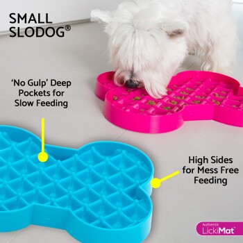 Weißer Hund frisst aus einem rosa Small Slodog Slow Feeder mit tiefen Taschen und hohen Seiten, blauer Futterbehälter daneben.