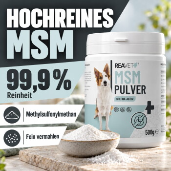 MSM Pulver für Hunde und Pferde, 500g, mit einem Bild eines Hundes. Enthält Methylsulfonylmethan zur Unterstützung der Gelenkfunktion.