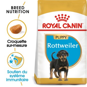 Rottweiler Puppy 12 kg