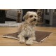 Ein flauschiger Hund ruht auf einer braunen Haustiermatte in einem gemütlichen Wohnzimmer, mit einem kleinen Hund im Hintergrund.