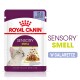 Torebka karmy dla kotów Royal Canin Sensory Smell, 85g, z kawałkami w galaretce, z obrazkiem kota i tekstem podkreślającym stymulację sensoryczną.