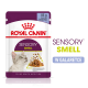 Torebka karmy dla kotów Royal Canin Sensory Smell, 85g, z kawałkami w galaretce, z obrazkiem kota i tekstem podkreślającym stymulację sensoryczną.
