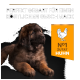 Hund sitzt vor einem dunklen Hintergrund, mit dem Text "PERFEKT GEGAERT FÜR EINEN KÖSTLICHEN GESCHMACK" und "N°1 ZUTAT HUHN".